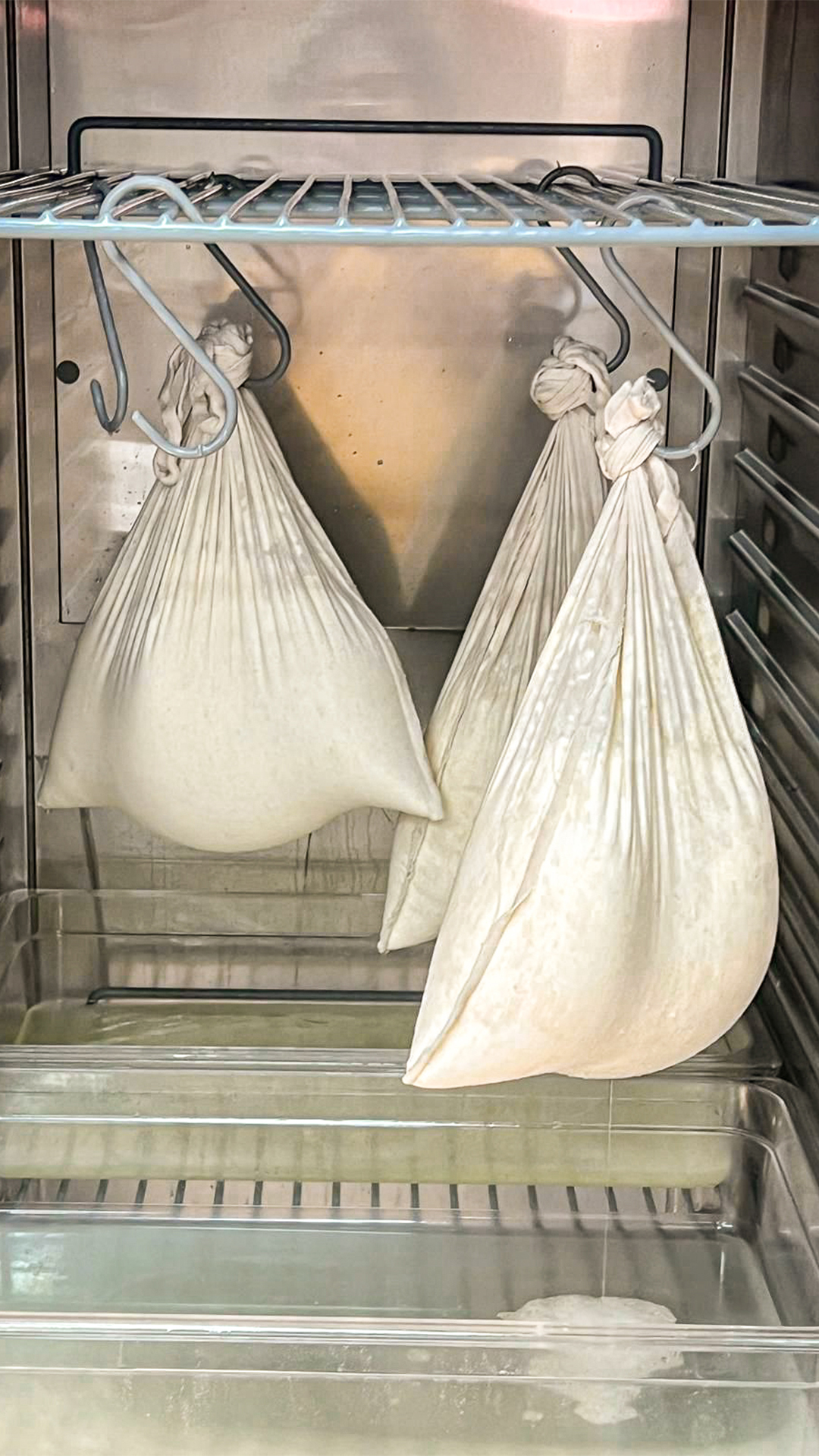 granja-escuela-ultzama-proyecto-birbizi Bolsas de suero de leche del proyecto Birbizi