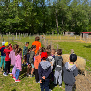 Visita Familiar a la Granja + Taller de Cuajada