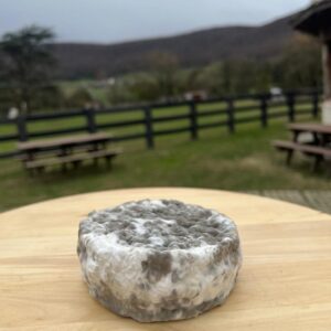 Queso láctico Claudia