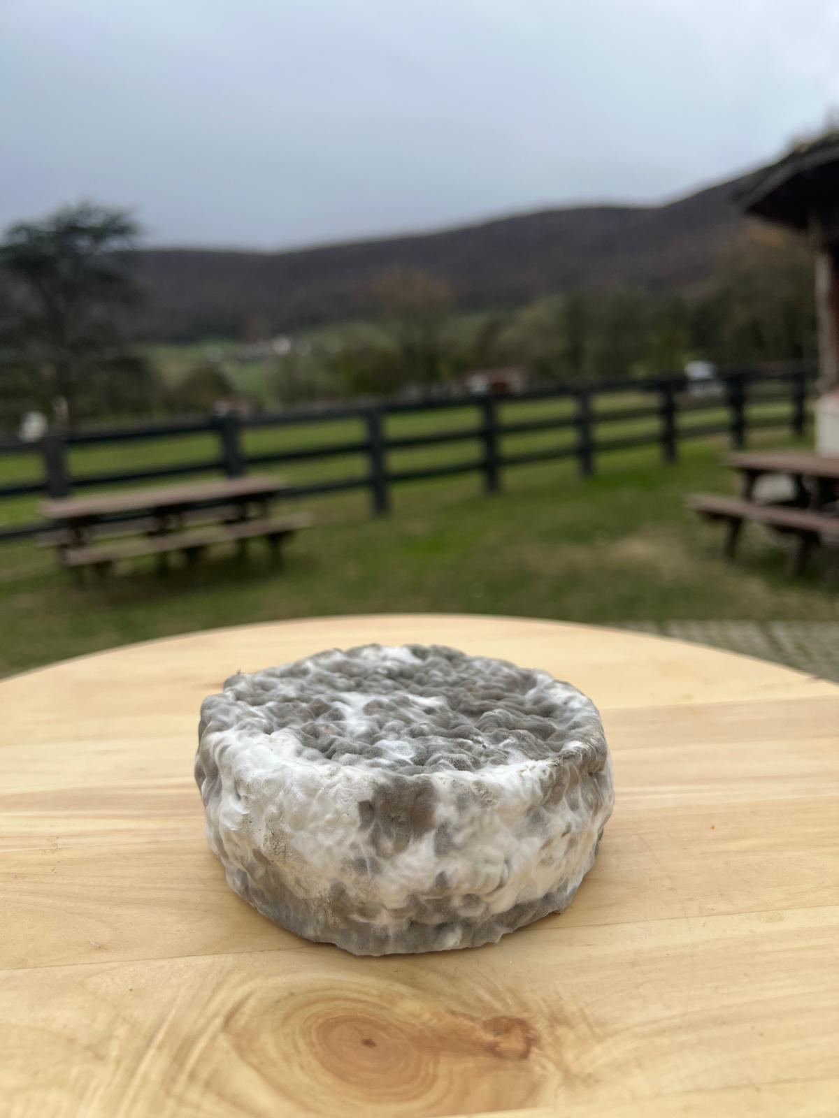 Queso láctico Claudia